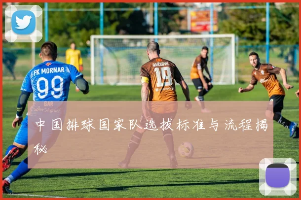 中国排球国家队选拔标准与流程揭秘