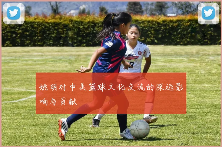 姚明对中美篮球文化交流的深远影响与贡献