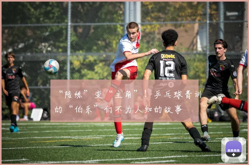 “陪练”变“主角”！乒乓球青训的“伯乐”们不为人知的故事